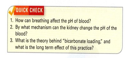 Quick check: Breathing, kidney, and bicarbonate loading