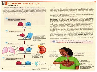 Clinical application: Vomiting and acid-base imbalance
