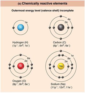 Chemically reactive elements: Hydrogen, Carbon, Oxygen, Sodium