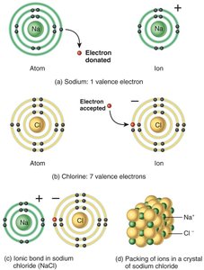 Ionic bonding between sodium and chlorine