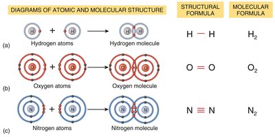 Covalent bonds: single, double, and triple bonds