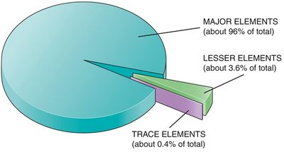 Pie chart showing major, lesser, and trace elements in the body