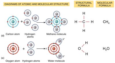 Polar and nonpolar covalent bonds