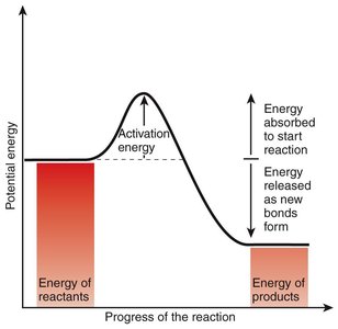 Energy profile of a chemical reaction showing activation energy