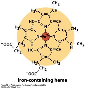 Iron-containing heme structure