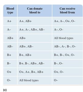 Agglutination test