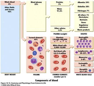 Components of blood