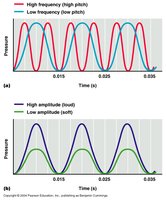 Comparison of high and low frequency and amplitude sound waves