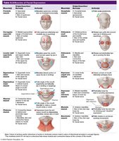 Table: Muscles of Facial Expression