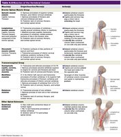 Table: Muscles of the Vertebral Column
