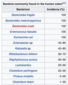 Gut flora and fermentation in the large intestine