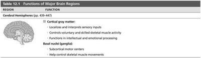 Table summarizing functions of the cerebral hemispheres