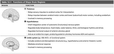 Table summarizing functions of the thalamus, hypothalamus, and limbic system