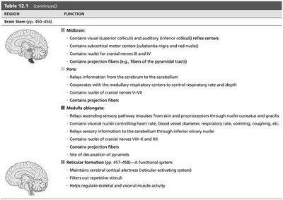 Table summarizing functions of the brain stem
