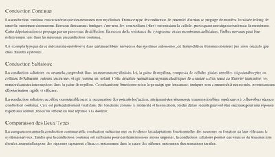 Transmission des signaux neuraux