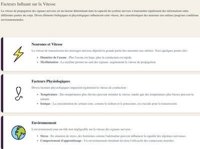 Fonctions clés des neurotransmetteurs