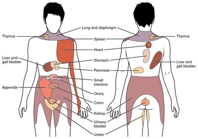 Diagram of referred pain locations for various organs