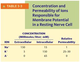 Ion concentration and permeability table