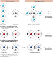 Formation of covalent bonds
