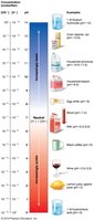 The pH scale and representative substances