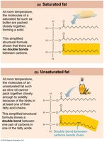 Saturated and unsaturated fatty acids