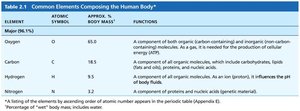 Table of major elements in the human body