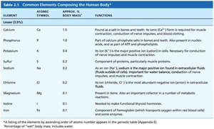 Table of lesser elements in the human body