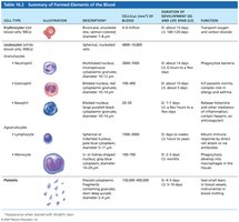 Summary table of formed elements of blood