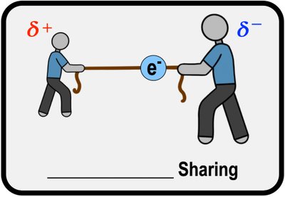 Examples of polar covalent bonds