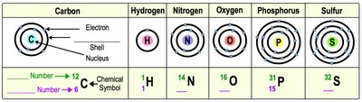 Energy shells for C, H, N, O, P, S
