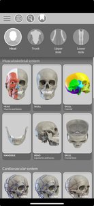 3D Atlas of Anatomy app screenshot