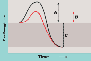 Energy of activation curve for enzyme-catalyzed reactions