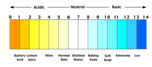 pH scale with examples of common substances