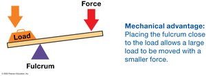 Mechanical advantage