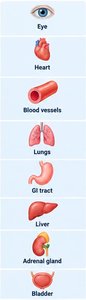 List of organs affected by the autonomic nervous system