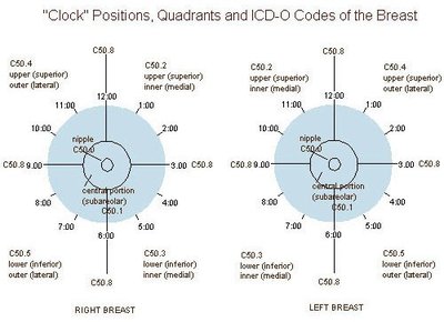 Diagram of breast quadrants and clock positions