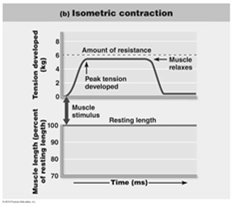 Isometric contraction graph