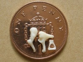 Ossicles of the middle ear on a coin for size comparison