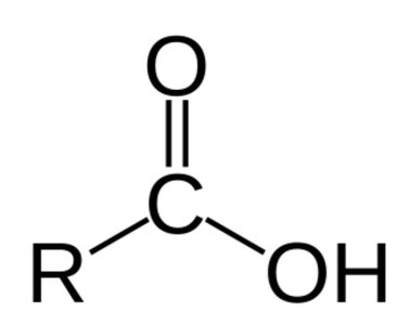Carboxyl group structure, relevant to decarboxylation step