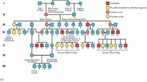 Hemophilia pedigree chart