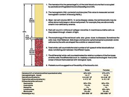 Hematocrit measurement and values