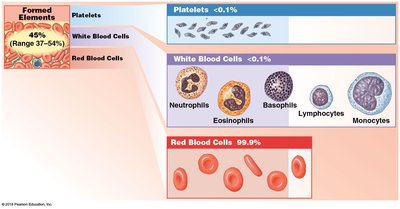 Formed Elements of Blood