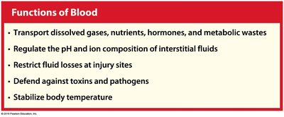 Functions of Blood