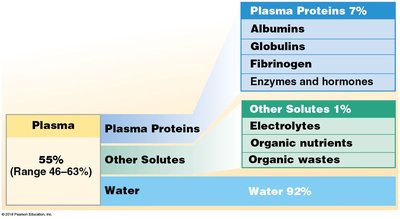 Plasma Composition