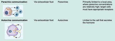 Paracrine and autocrine communication