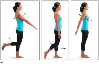 Flexion, extension, and hyperextension at the shoulder and knee
