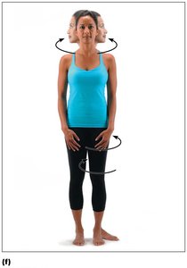 Rotation of the head, neck, and lower limb