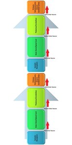 Somatic sensory pathway diagram