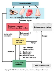 Memory processing flowchart