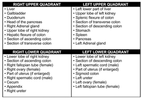 Abdominal quadrant organ table